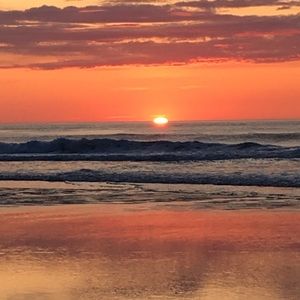 Meet your Posher, Duncan